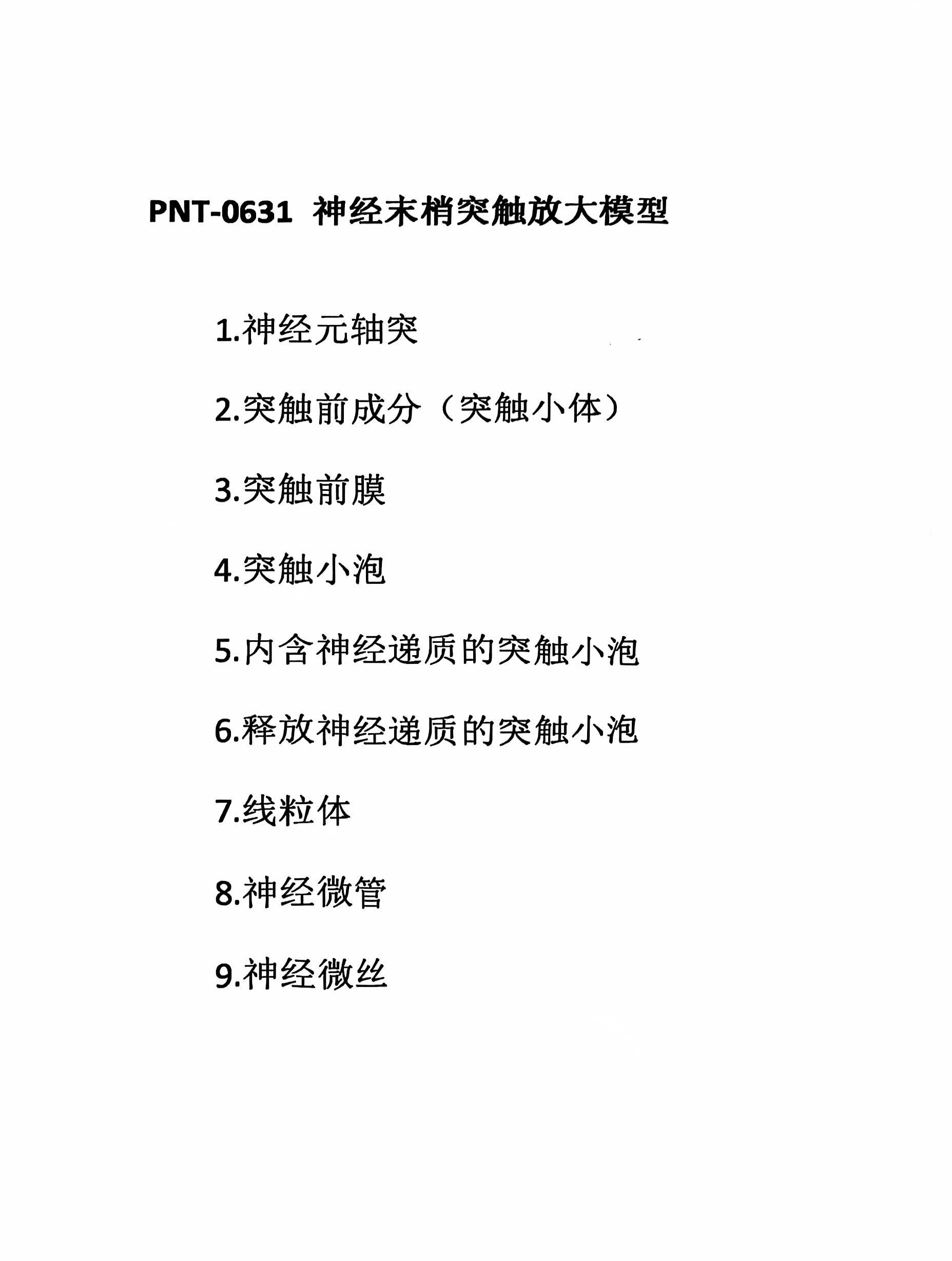 突触说明书.jpg