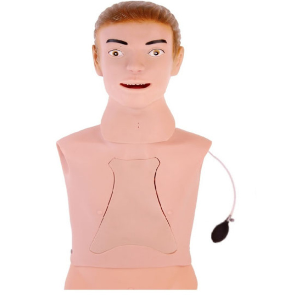 8016854b8d6c1aa.png