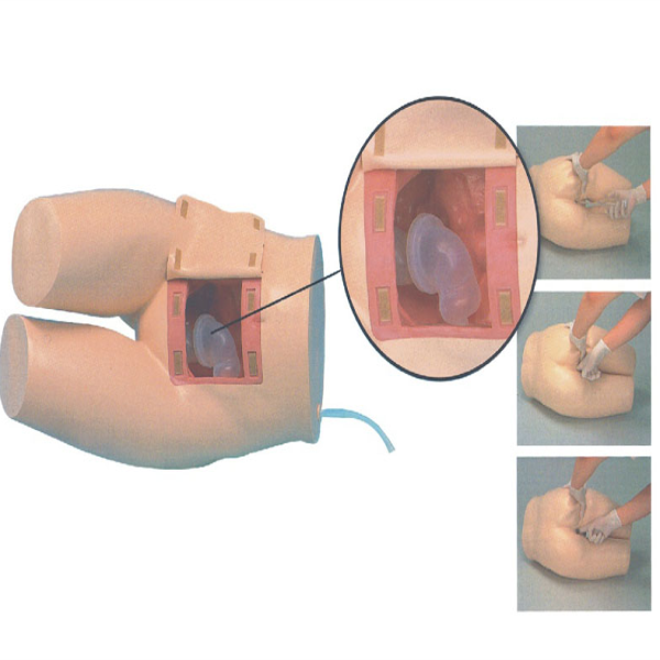 1daaba00097a72c.png