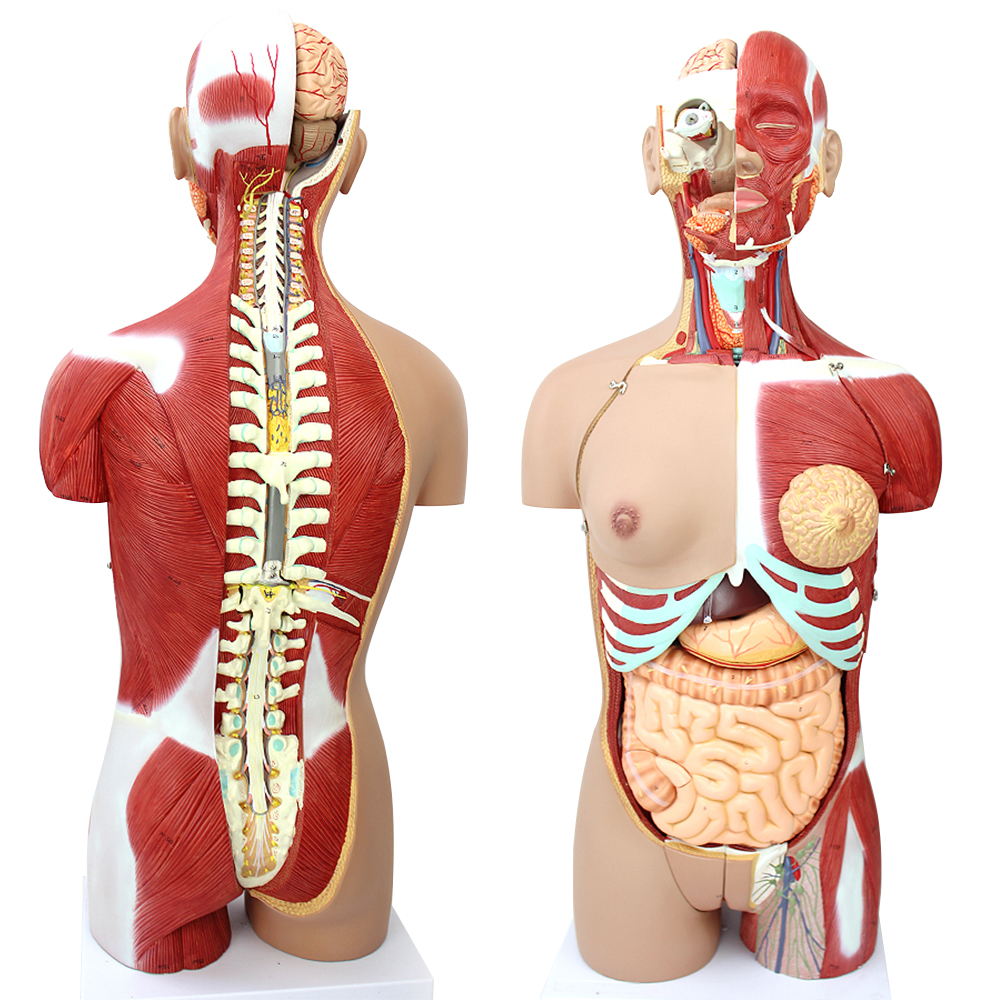 1773125519153126.jpg