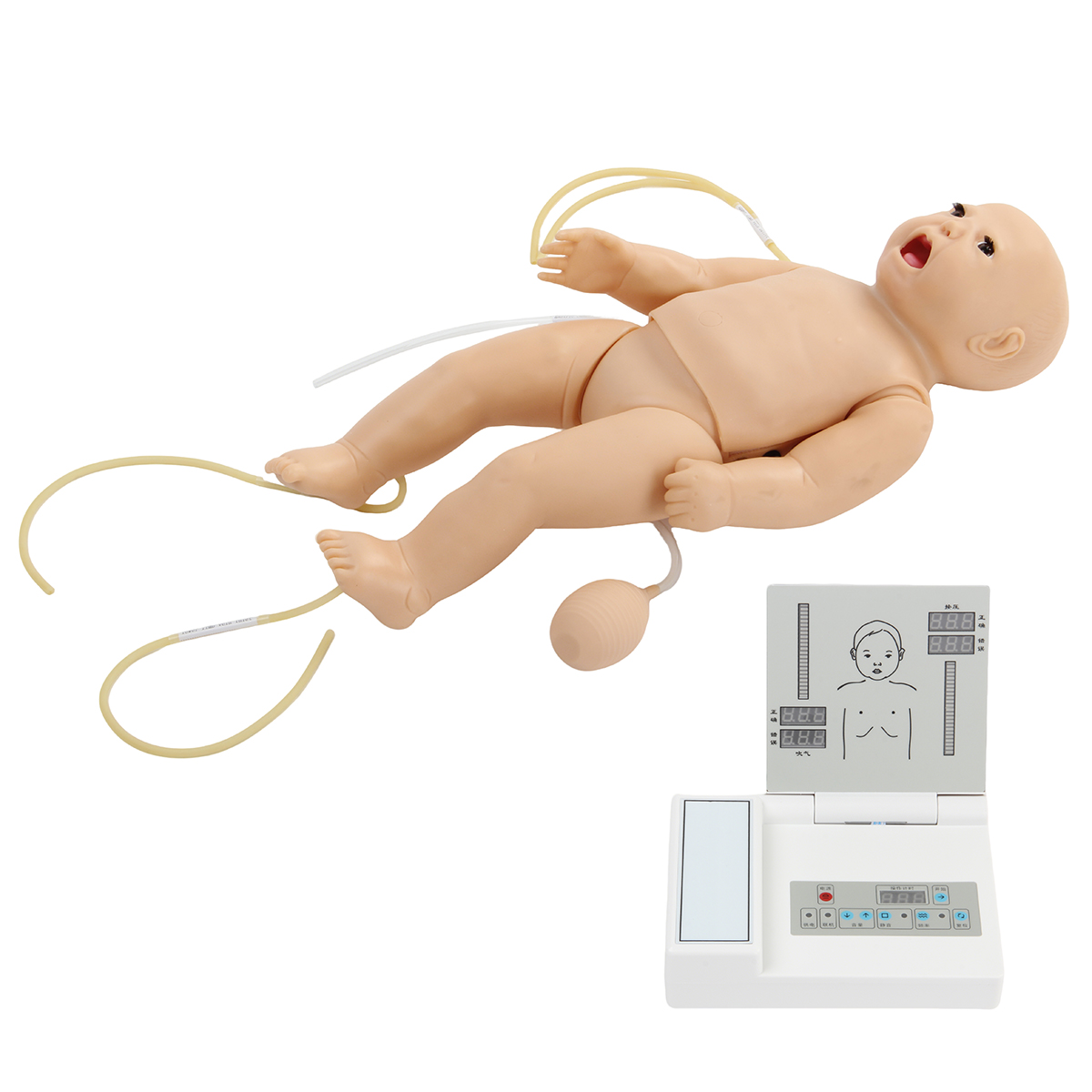 ACLS160.jpg