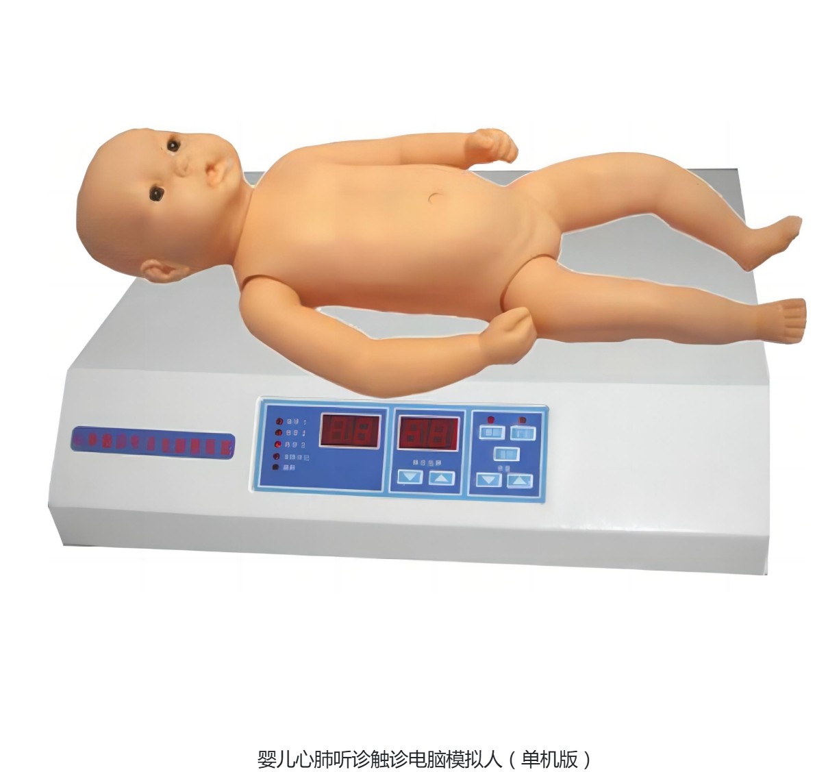 婴儿听诊.png