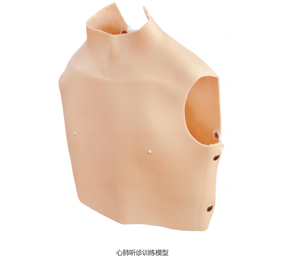 01听诊.png
